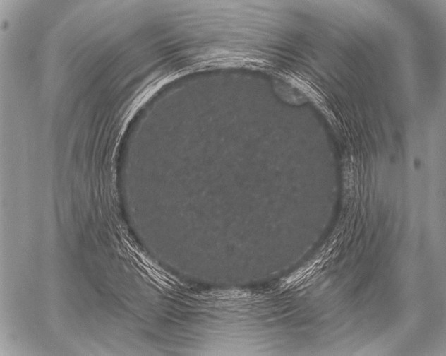 X0000059241023200510171426