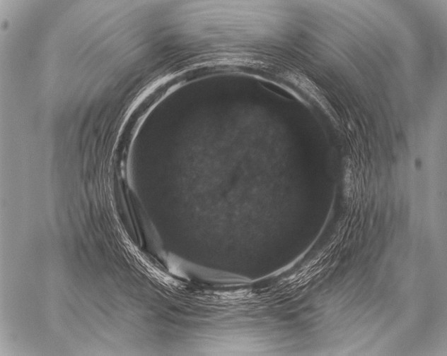 X0000059241024200510171426