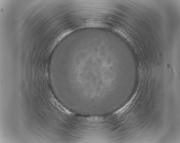 X0000059241025200510171426