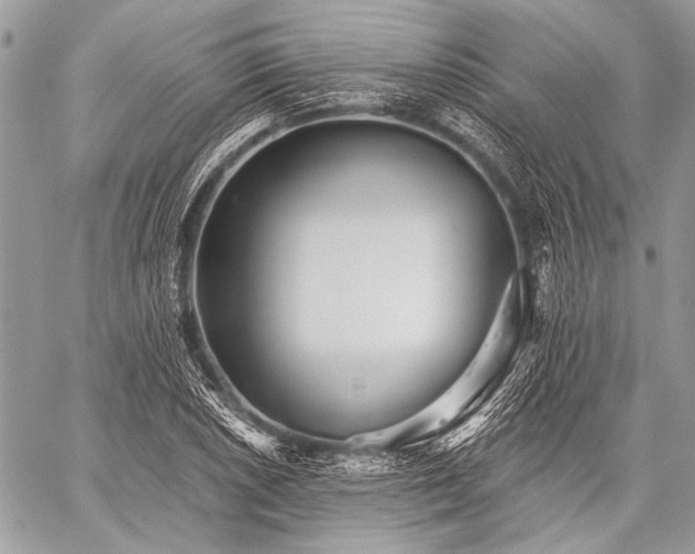 X0000059241026200510171426