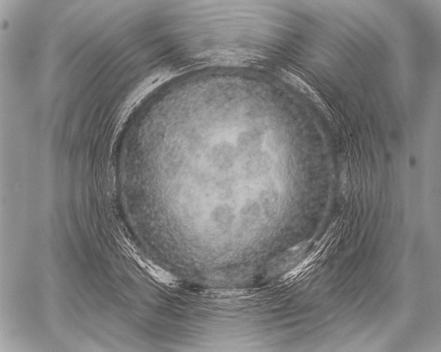 X0000059241027200510171426