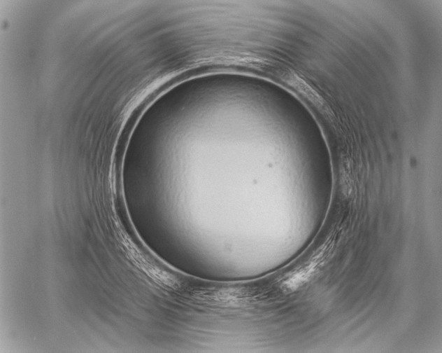 X0000059241028200510171426