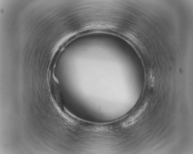 X0000059241030200510171426