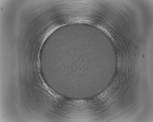 X0000059241031200510171426