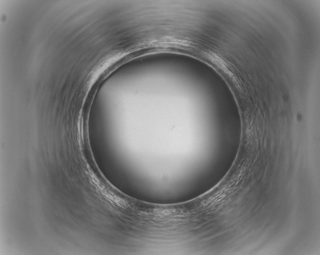 X0000059241032200510171426