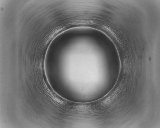 X0000059241033200510171426