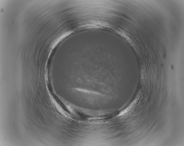 X0000059241034200510171426