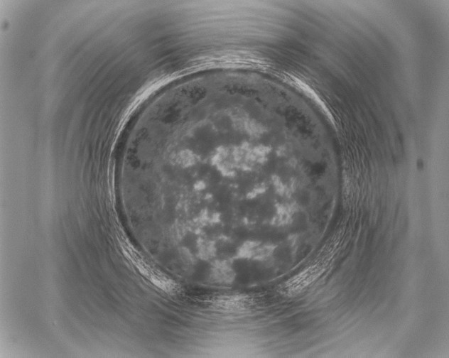 X0000059241035200510171426