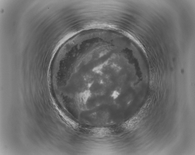 X0000059241037200510171426