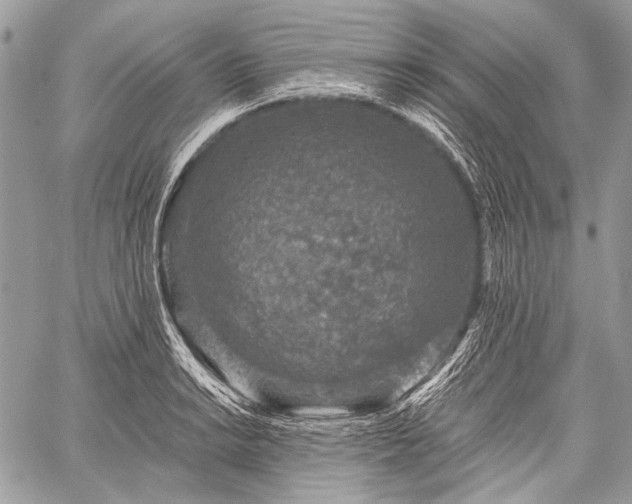 X0000059241038200510171426