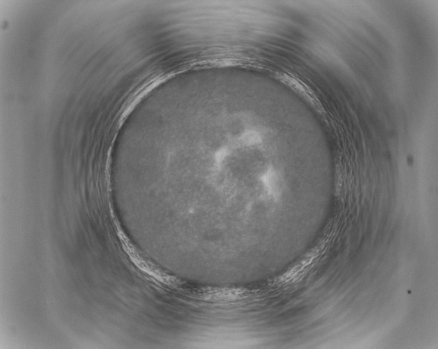 X0000059241039200510171426