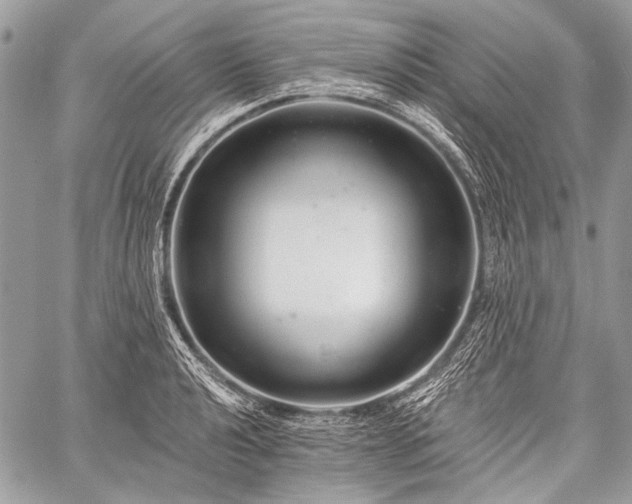 X0000059241040200510171426