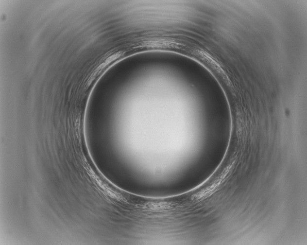 X0000059241041200510171426