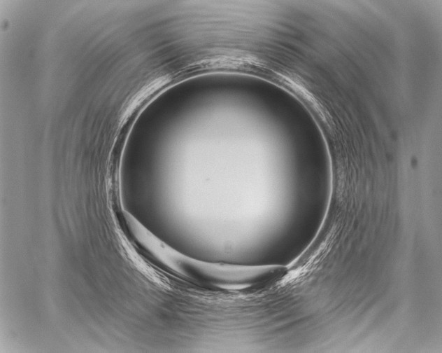 X0000059241042200510171426