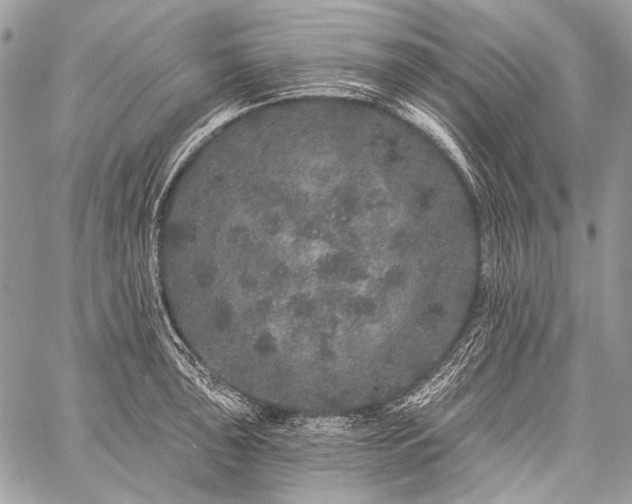 X0000059241043200510171426