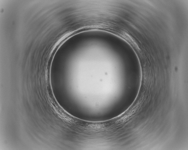 X0000059241044200510171426