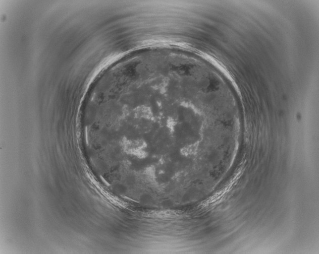 X0000059241045200510171426