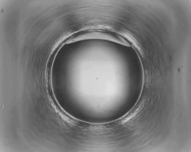 X0000059241046200510171426