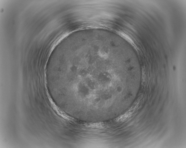 X0000059241047200510171426