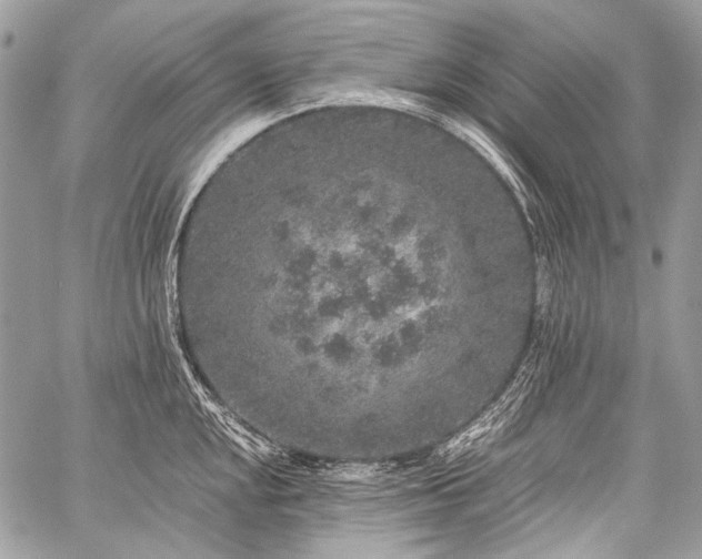 X0000059241048200510171426