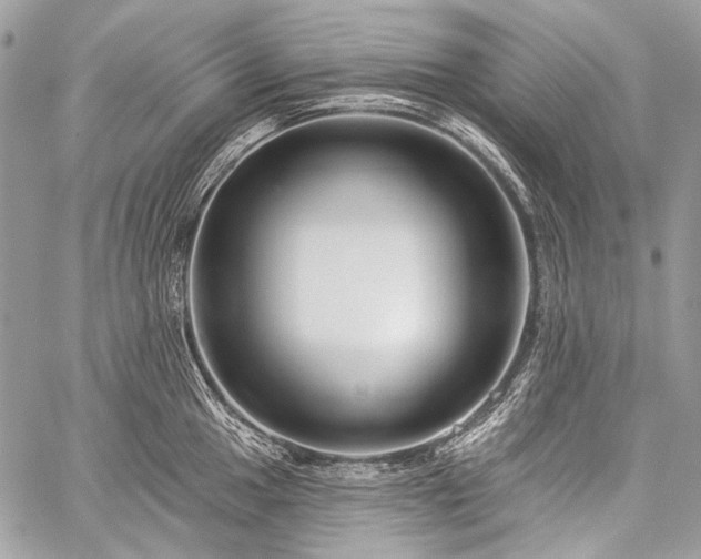 X0000059241049200510171426