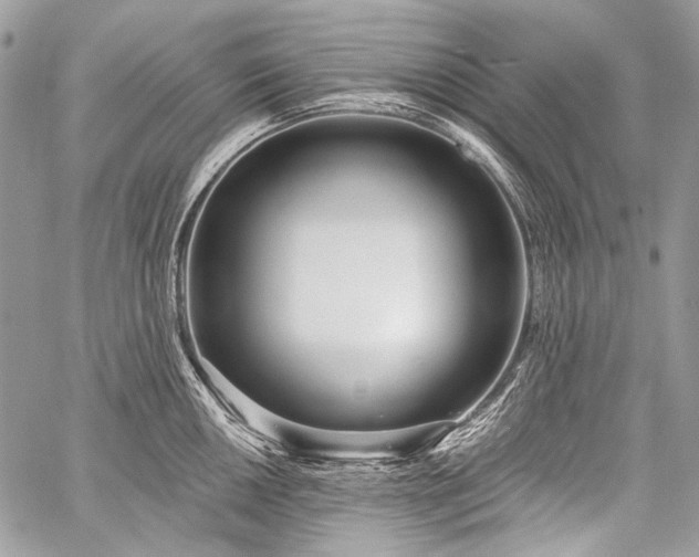 X0000059241050200510171426