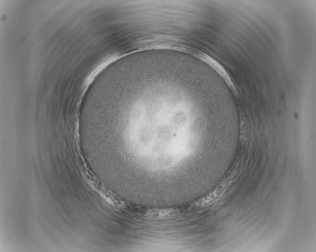 X0000059241051200510171426