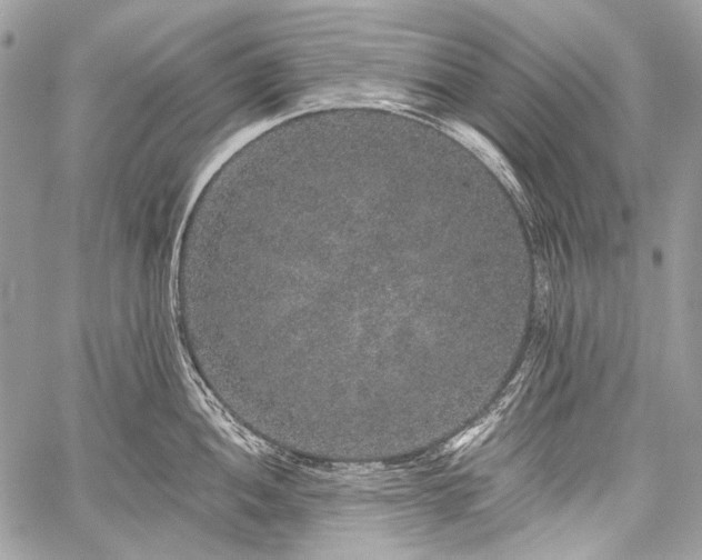 X0000059241052200510171426