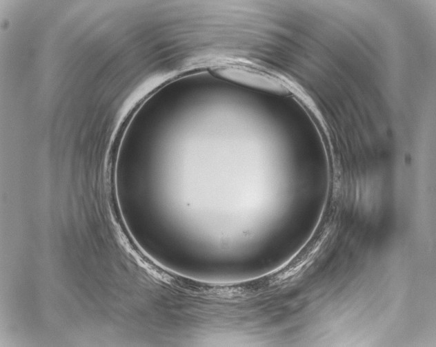 X0000059241053200510171426