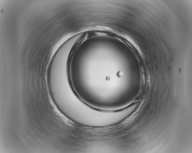 X0000059241054200510171426