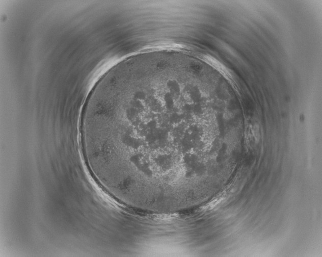 X0000059241055200510171426