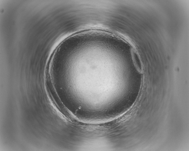 X0000059241056200510171426