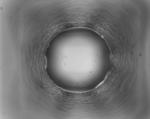 X0000059241057200510171425