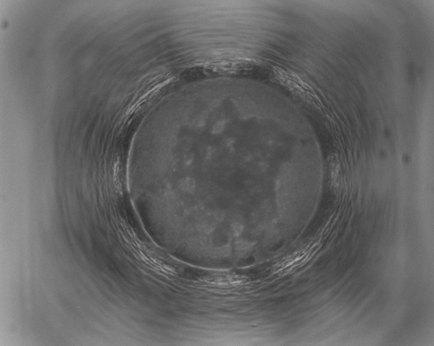 X0000059241060200510171425