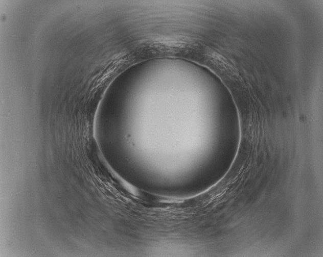 X0000059241061200510171425