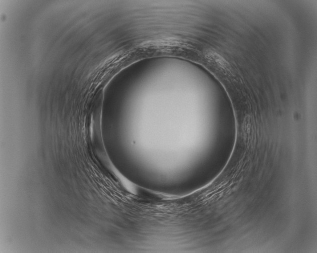 X0000059241062200510171425