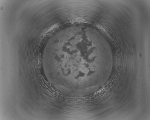 X0000059241063200510171425