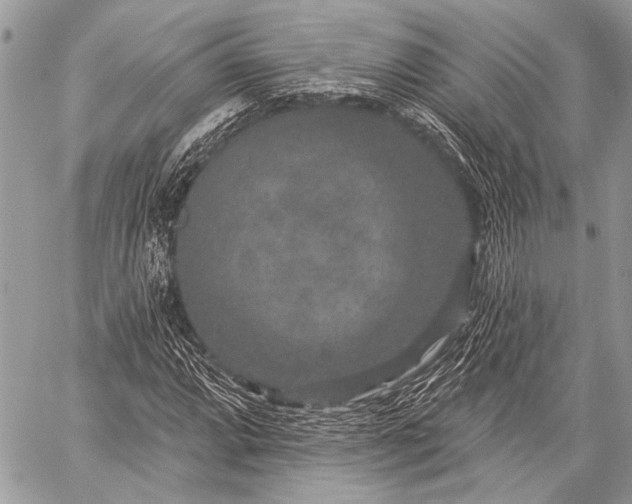 X0000059241064200510171425