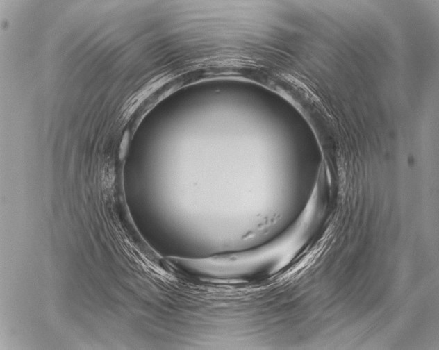 X0000059241065200510171425