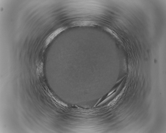 X0000059241066200510171425