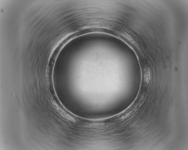 X0000059241068200510171425