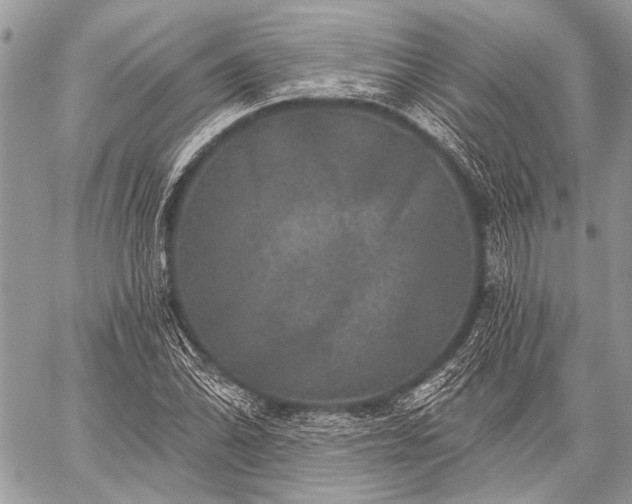 X0000059241070200510171425