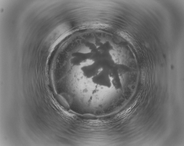 X0000059241071200510171425