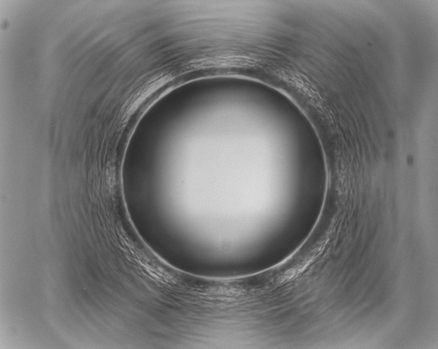 X0000059241073200510171425