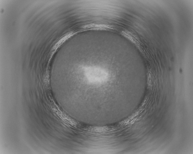 X0000059241074200510171425