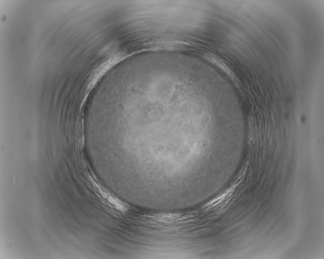 X0000059241075200510171425