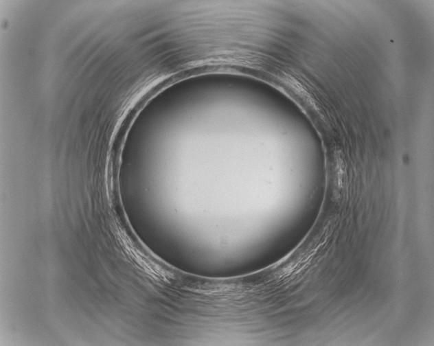 X0000059241076200510171425