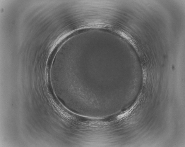 X0000059241077200510171425