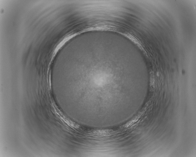 X0000059241078200510171425