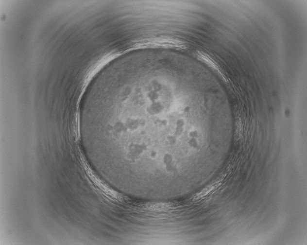 X0000059241079200510171425